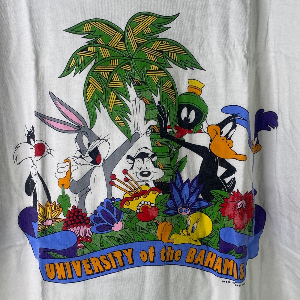Vintage 1993 Looney Tunes 3XL University of the Bahamas Graphic Tee - Stained
